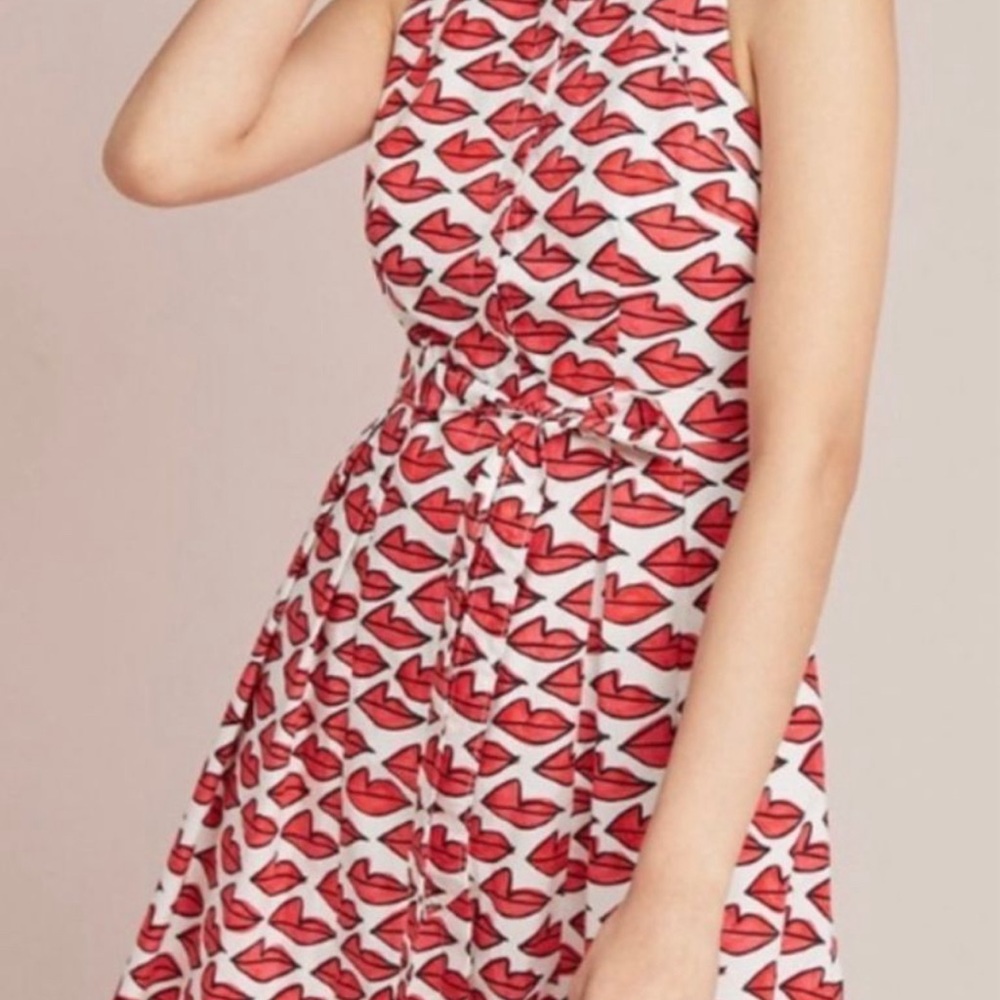 Ann Howell Bullard x Anthropologie Lips Smooched Shirt Dress Sz 2